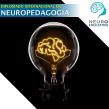 Diplomado Internacional en Neuropedagogía