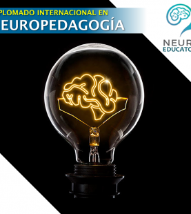 Diplomado Internacional en Neuropedagogía