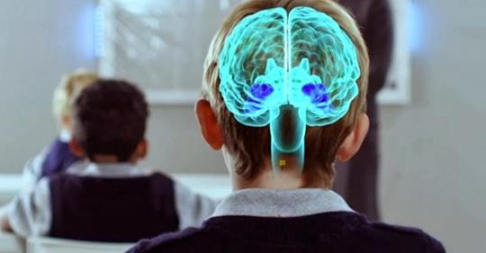 ​Neuroeducación: el aprendizaje basado en neurociencias