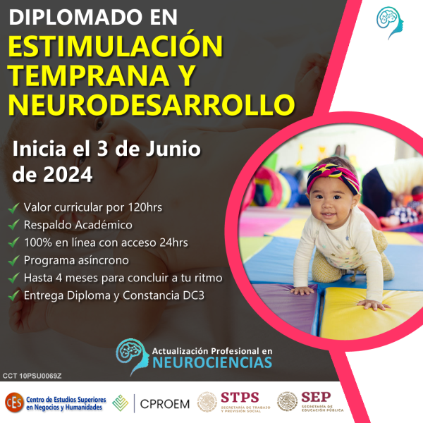 Diplomado En Estimulaci N Temprana Y Neurodesarrollo Neuroeducators