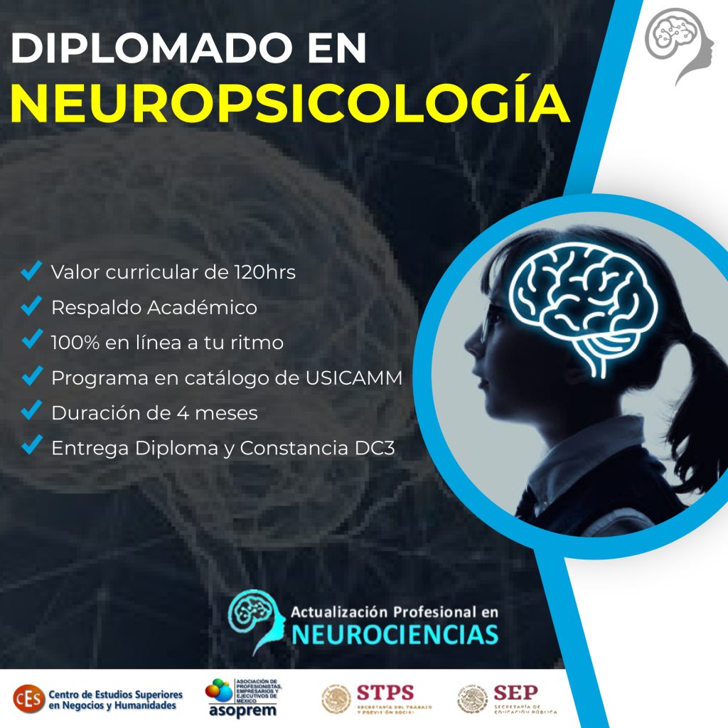 Diplomado En Estimulaci N Temprana Y Neurodesarrollo Neuroeducators